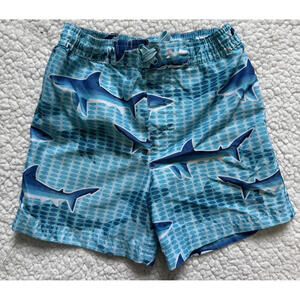 Boys Swim Trunks